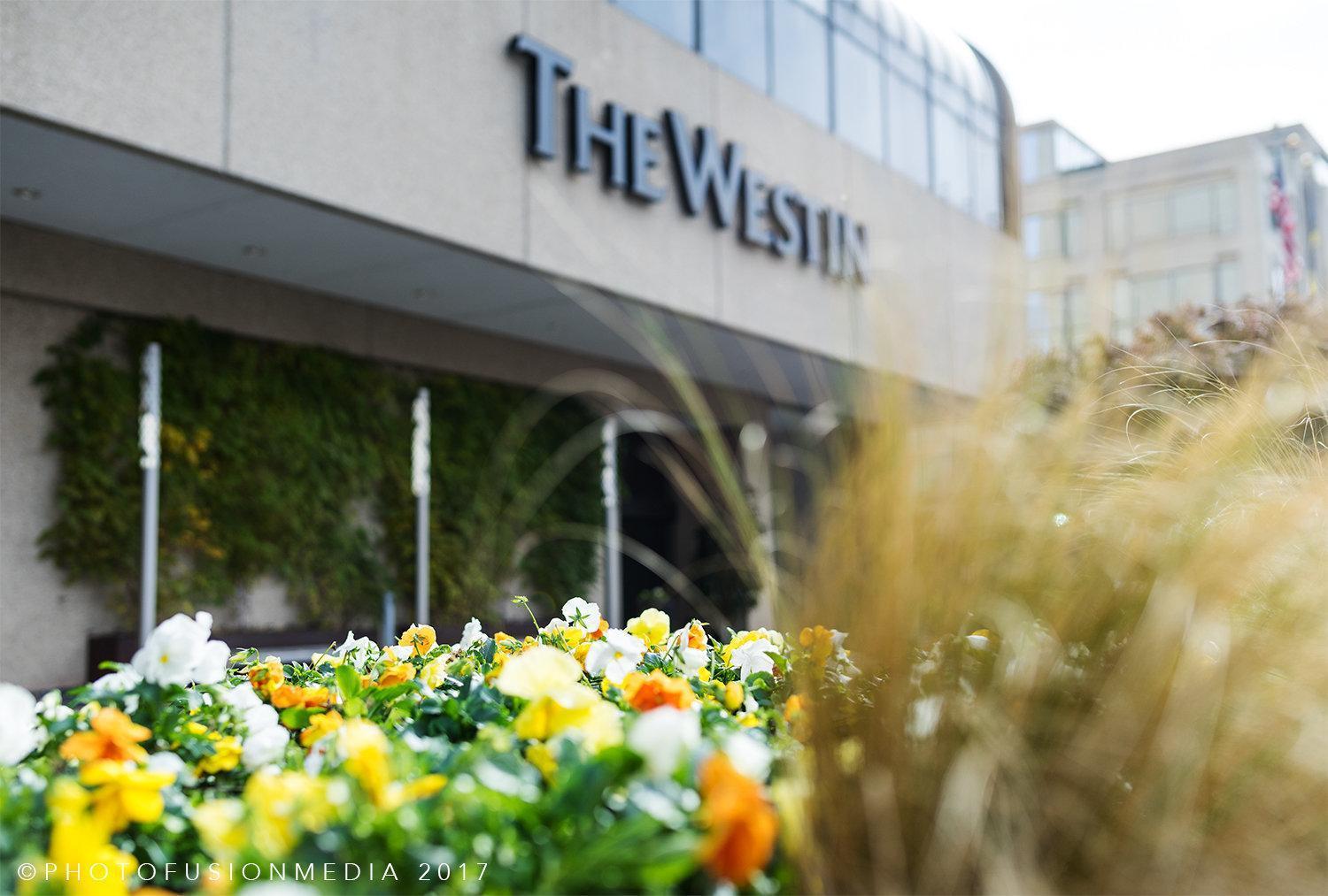 The Westin Crystal City Reagan National Airport Arlington Esterno foto